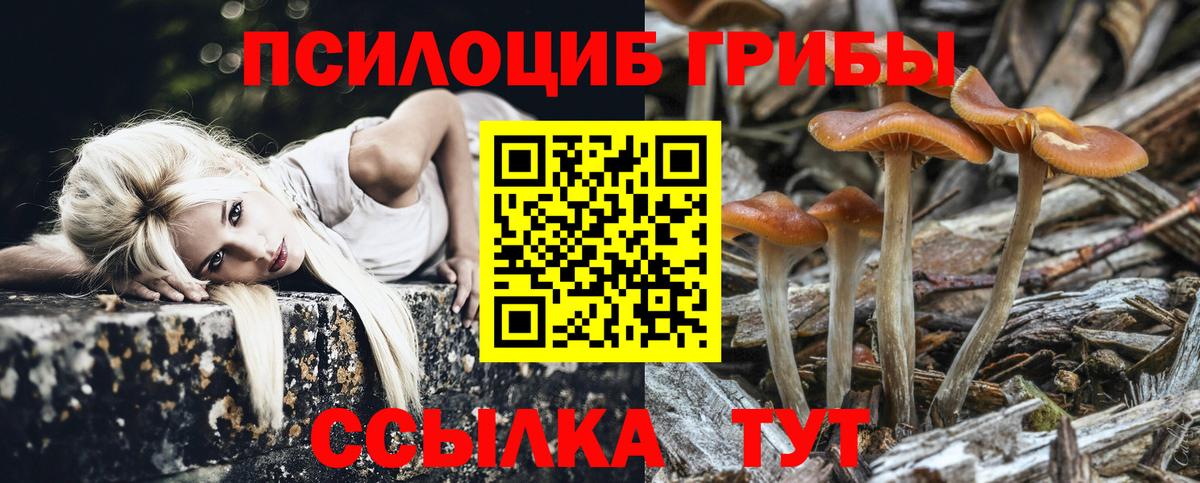 Минеральные Воды  Псилоцибиновые грибы прущие грибы  Вход с VPN 